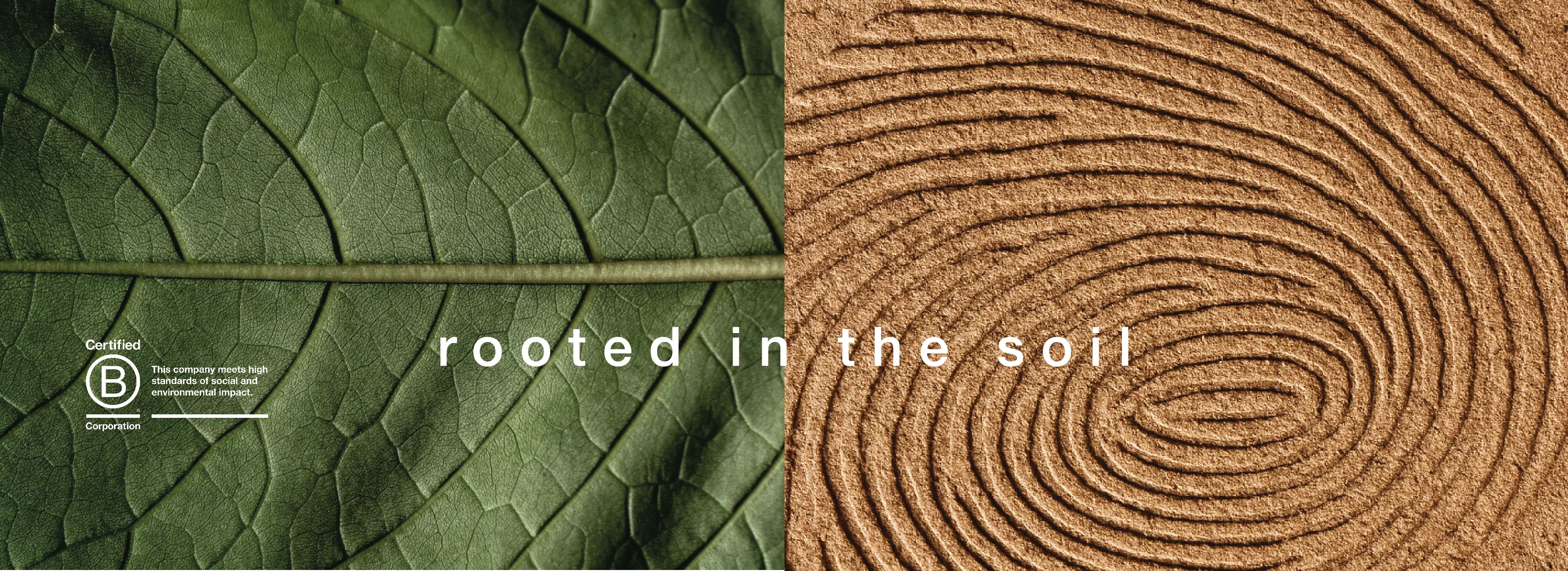 Natural Rubber for Every Generation